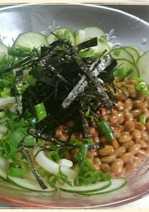 夏を元気に！ピリ辛納豆冷うどん-レシピのメイン写真