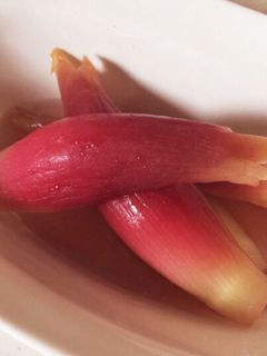 茗荷の甘酢漬け-レシピのメイン写真