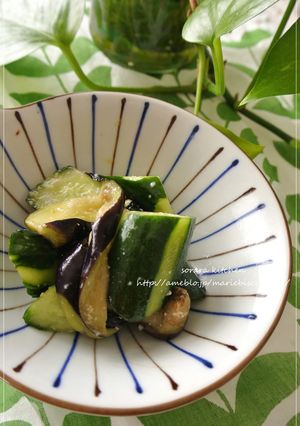 レンジ干し茄子とキュウリのピリ辛塩麹和え-レシピのメイン写真