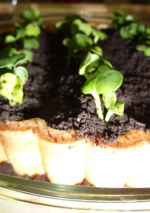 野菜畑のチーズケーキ-レシピのメイン写真