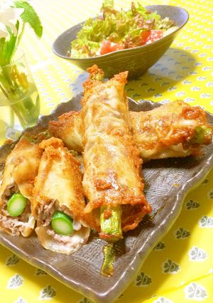 チーズ春巻き 牛肉入り-レシピのメイン写真