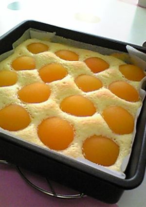 あんずのスポンジケーキ-レシピのメイン写真