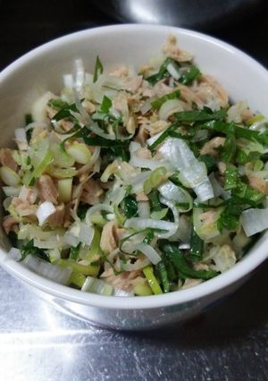 冷奴の薬味-レシピのメイン写真