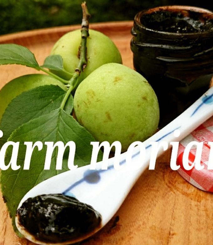 農園レシピ・梅エキスつくろ♪ by もりあん農園 【クックパッド】 簡単