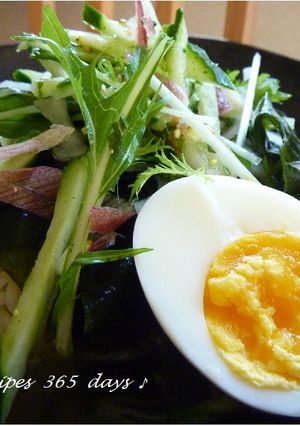 みょうがとキュウリ冷やしぶっかけ塩ラー麺-レシピのメイン写真