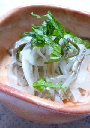 かえりちりめんと新玉ねぎの甘酢漬け-レシピのメイン写真