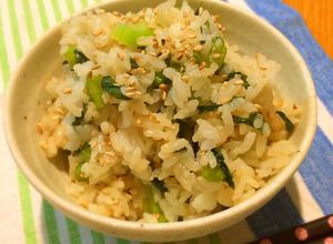 母の味＊混ぜるだけの野沢菜ごはん-レシピのメイン写真