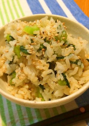 母の味＊混ぜるだけの野沢菜ごはん-レシピのメイン写真