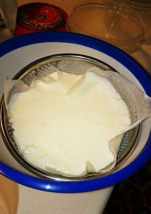 ビビタスでギリシャヨーグルト-レシピのメイン写真