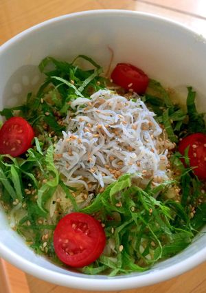 薬味モリモリしらす冷やしラーメン-レシピのメイン写真
