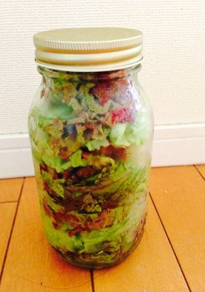 サラダ野菜の保存方法-レシピのメイン写真