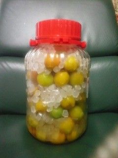 冷凍梅で梅ジュース-レシピのメイン写真