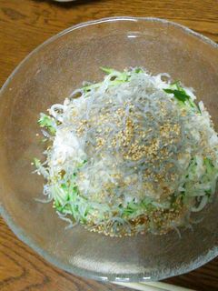 やまいも・ちりめんうどん-レシピのメイン写真