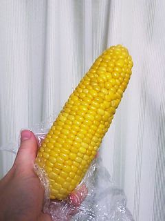 レンジで蒸しとうもろこし♪-レシピのメイン写真
