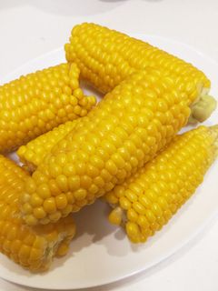 とうもろこし✽茹で方-レシピのメイン写真