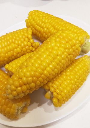 とうもろこし✽茹で方-レシピのメイン写真