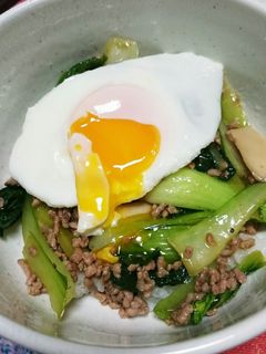 簡単!ちんげん菜のピリ辛どんぶり-レシピのメイン写真