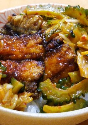 さんまとゴーヤで夏ばて知らず丼-レシピのメイン写真
