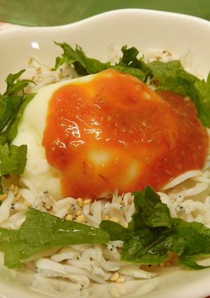 しらす玉子丼♪-レシピのメイン写真