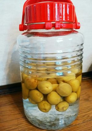 梅酒-レシピのメイン写真