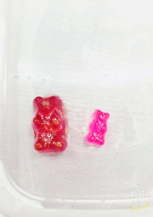 ❁簡単❁HARIBOゼリー-レシピのメイン写真