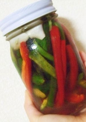 彩り野菜の簡単ピクルス-レシピのメイン写真