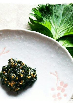 大葉みそ ～ 大葉味噌で大量消費 ～-レシピのメイン写真