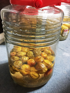 和食屋秘伝の梅シロップ-レシピのメイン写真