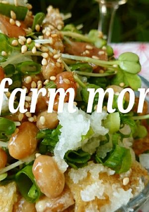 農園レシピ・お揚げの梅納豆サラダ♪-レシピのメイン写真