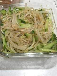 もやしときゅうりさっぱりサラダ-レシピのメイン写真