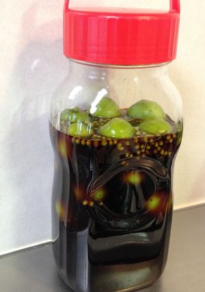 青梅の醤油漬け-レシピのメイン写真