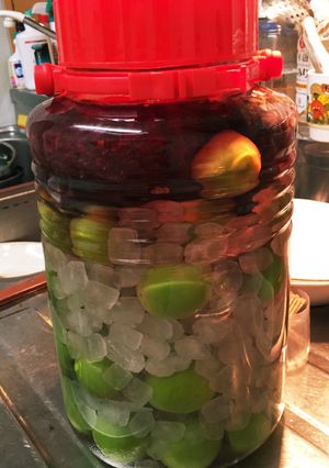 ローズヒップ梅酒-レシピのメイン写真