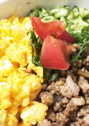 彩りきれいな三色丼-レシピのメイン写真