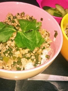 節約‼そぼろ丼☆-レシピのメイン写真