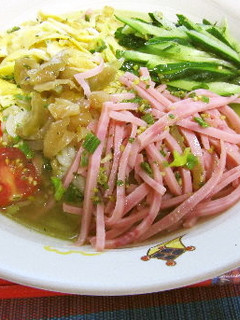 具だくさんの冷やしぶっかけ塩ラーメン♪-レシピのメイン写真