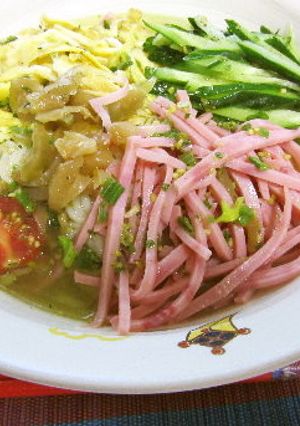 具だくさんの冷やしぶっかけ塩ラーメン♪-レシピのメイン写真