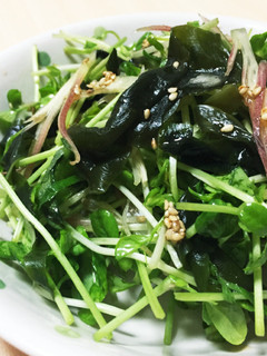 美容に良いかも?!豆苗とみょうがのサラダ-レシピのメイン写真