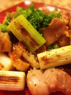 魚焼きグリルで作る!おつまみ焼き鳥-レシピのメイン写真