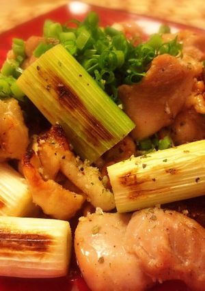 魚焼きグリルで作る！おつまみ焼き鳥-レシピのメイン写真