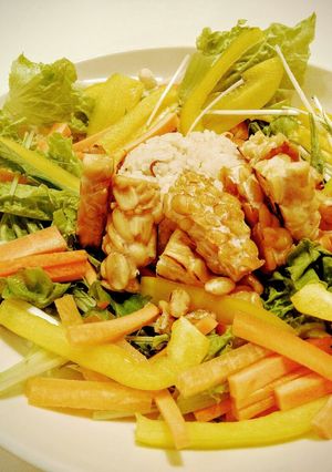 照焼テンペのサラダ丼!野菜たっぷりランチ-レシピのメイン写真