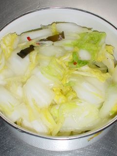 白菜の浅漬け-レシピのメイン写真