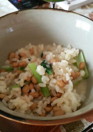 納豆と小松菜の味噌雑炊-レシピのメイン写真