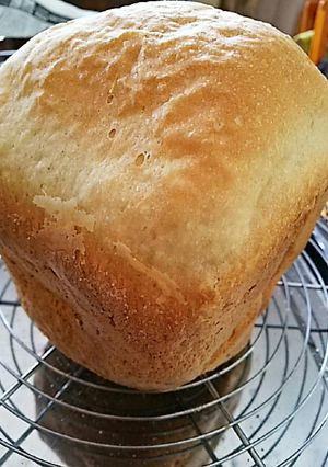 米粉入りノンオイル食パン-レシピのメイン写真