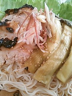 塩糀鶏と焼きナスのそうめん-レシピのメイン写真