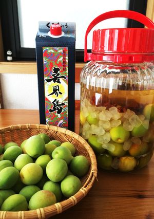 黒糖焼酎で仕込む梅酒 (2015)-レシピのメイン写真