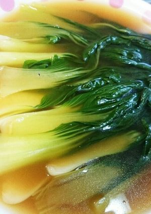 チンゲン菜のとろとろ煮-レシピのメイン写真