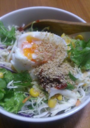 手抜きすぎる☆野菜ビビンバ-レシピのメイン写真
