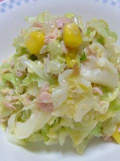 キャベツサラダ-レシピのメイン写真