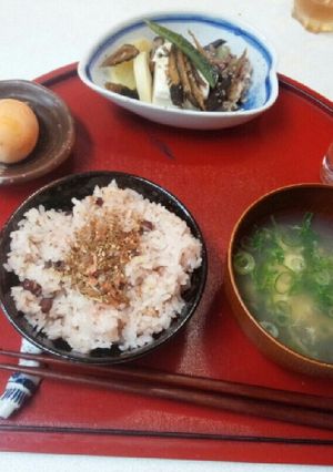 血管プラークダイエット食356（びわ）-レシピのメイン写真