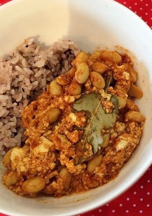 レンジで簡単！豆腐ドライカレー-レシピのメイン写真